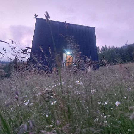 Апартаменты Oak House Поляница Экстерьер фото